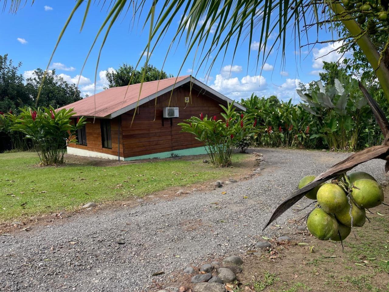 Cabana Rural Ave Del Paraiso La Fortuna 外观 照片